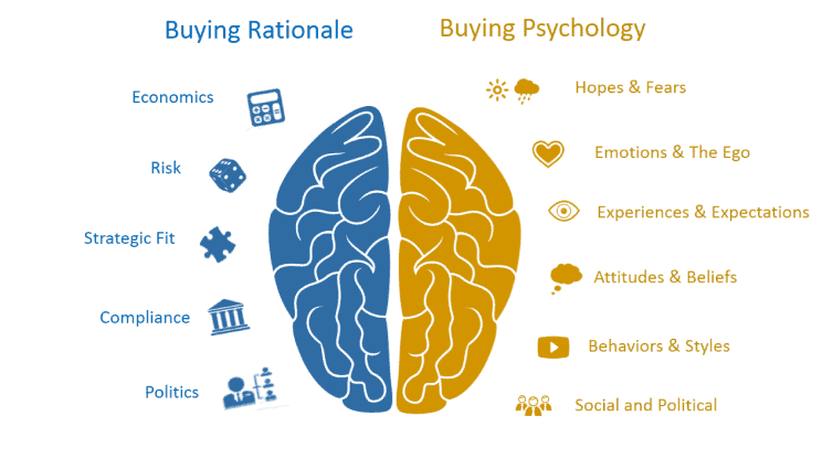 Differences in the right and left side of the brain in buying rationale vs buying psychology