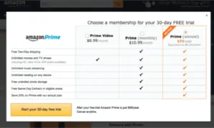 An example of how amazon uses LTV to improve sales