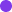 img-circle-purple-small